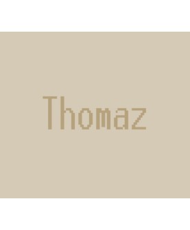 Thomaz Steam Key GLOBAL